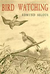 Bird Watching