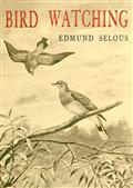 Bird Watching